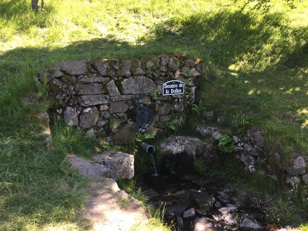 Gite Leonline Sur Les Hauteurs De Masevaux -Au Pied Des Vosges Dış mekan fotoğraf