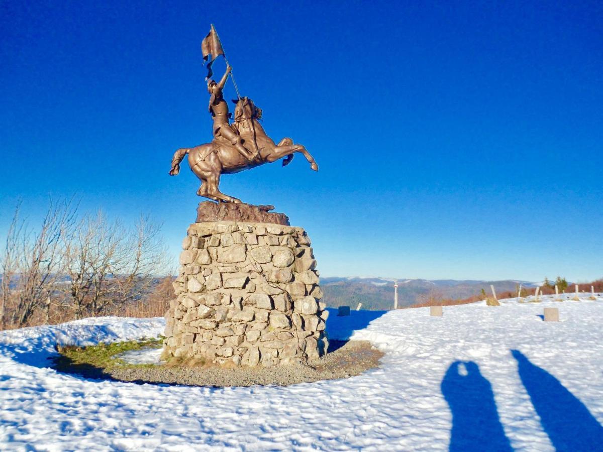 Gite Leonline Sur Les Hauteurs De Masevaux -Au Pied Des Vosges Dış mekan fotoğraf