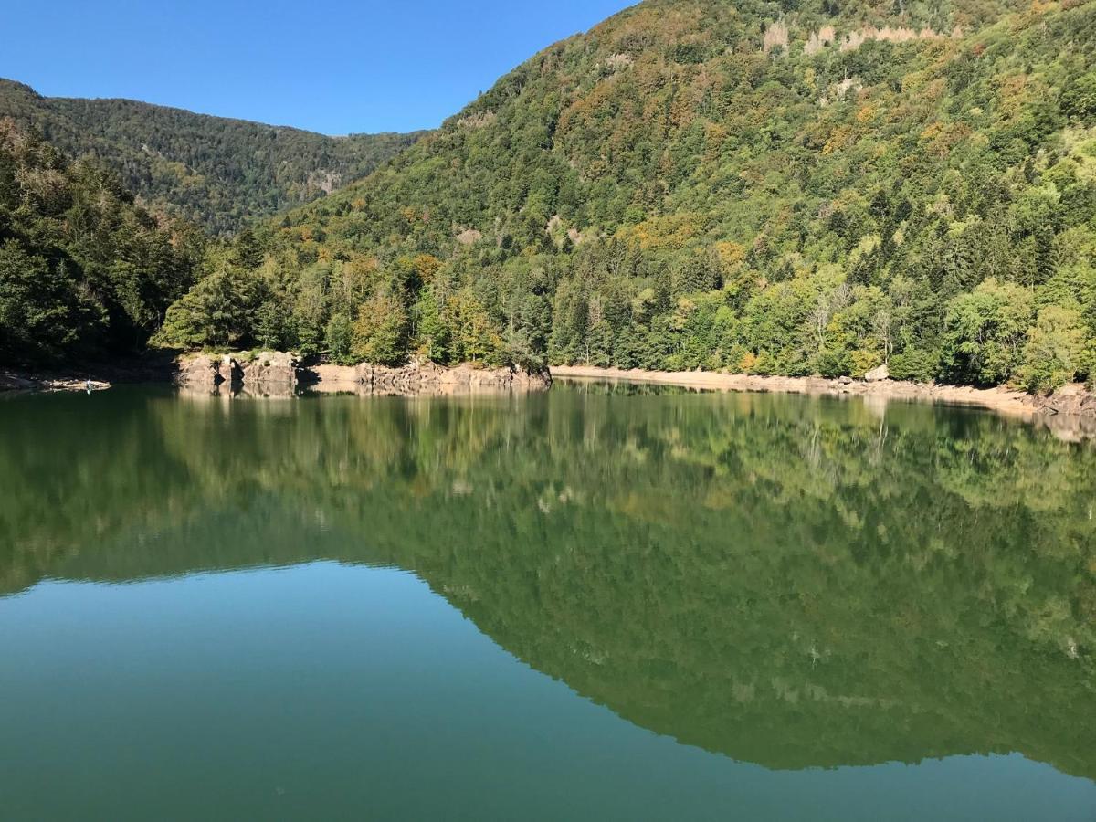 Gite Leonline Sur Les Hauteurs De Masevaux -Au Pied Des Vosges Dış mekan fotoğraf
