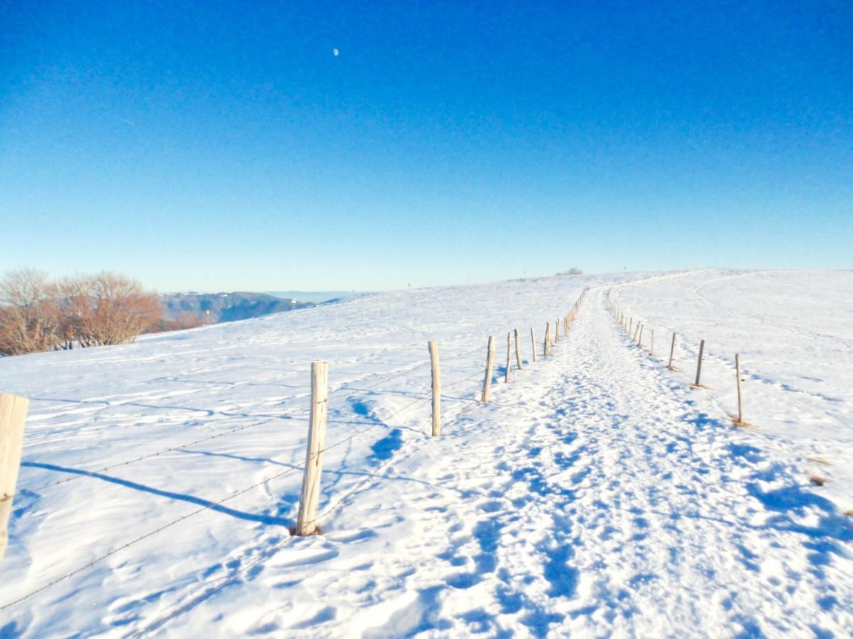 Gite Leonline Sur Les Hauteurs De Masevaux -Au Pied Des Vosges Dış mekan fotoğraf